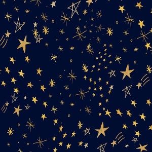 Meet your Posher, Ally